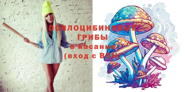 крисы Ладушкин