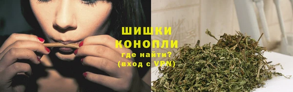 молекула духа Лабытнанги