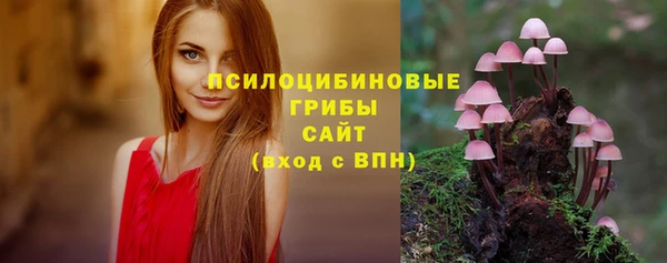 крисы Ладушкин