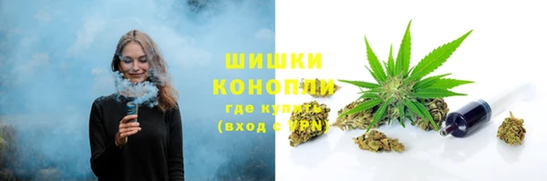 молекула духа Лабытнанги