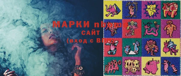 молекула духа Лабытнанги