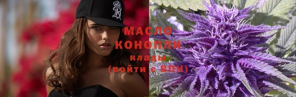 молекула духа Лабытнанги