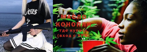 молекула духа Лабытнанги